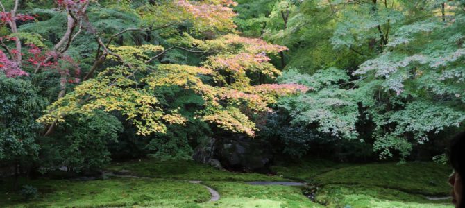 秋の京都めぐり ～瑠璃光院～