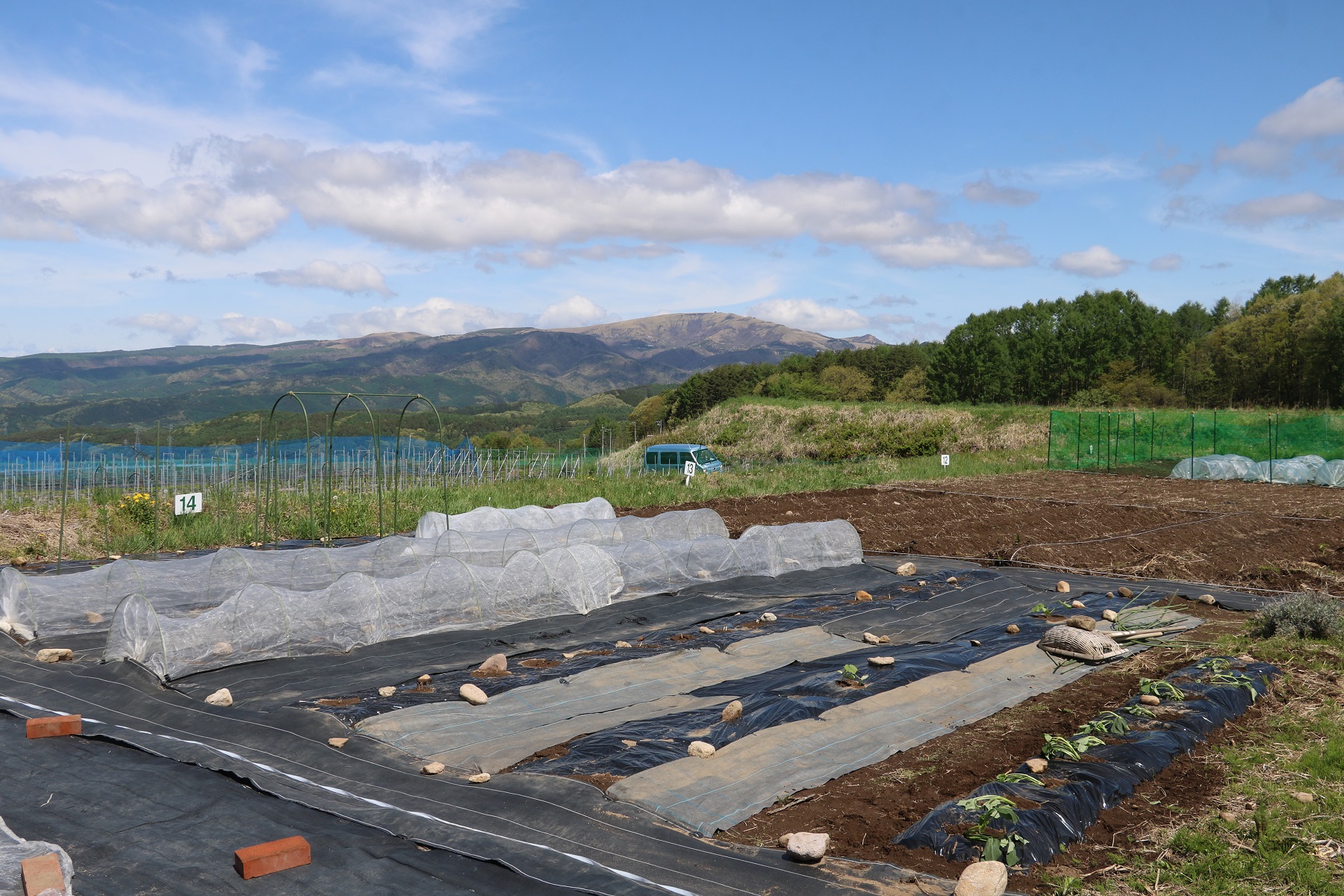 ４年目の農業 ～栽培計画～