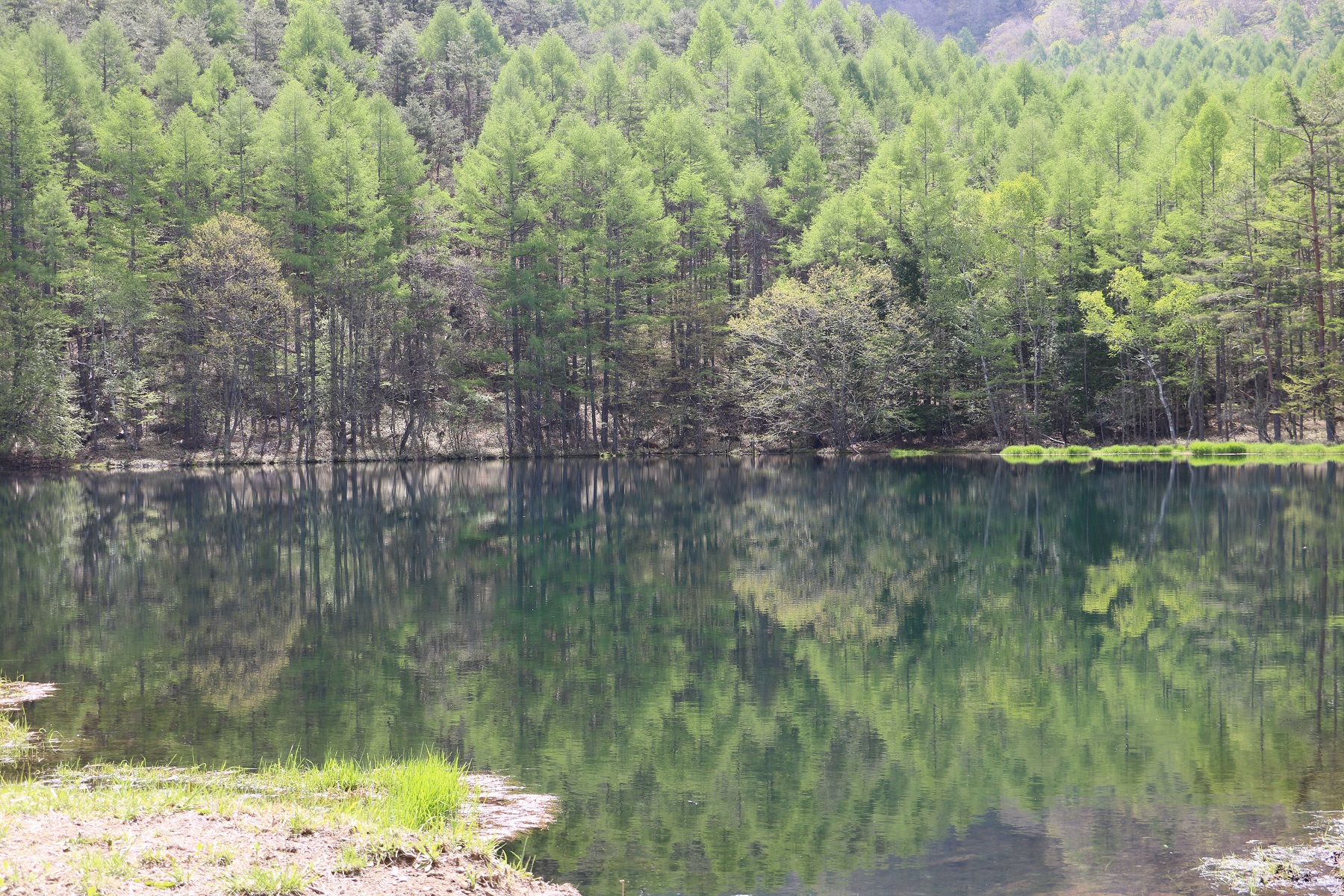 コロナ禍における新緑の蓼科生活