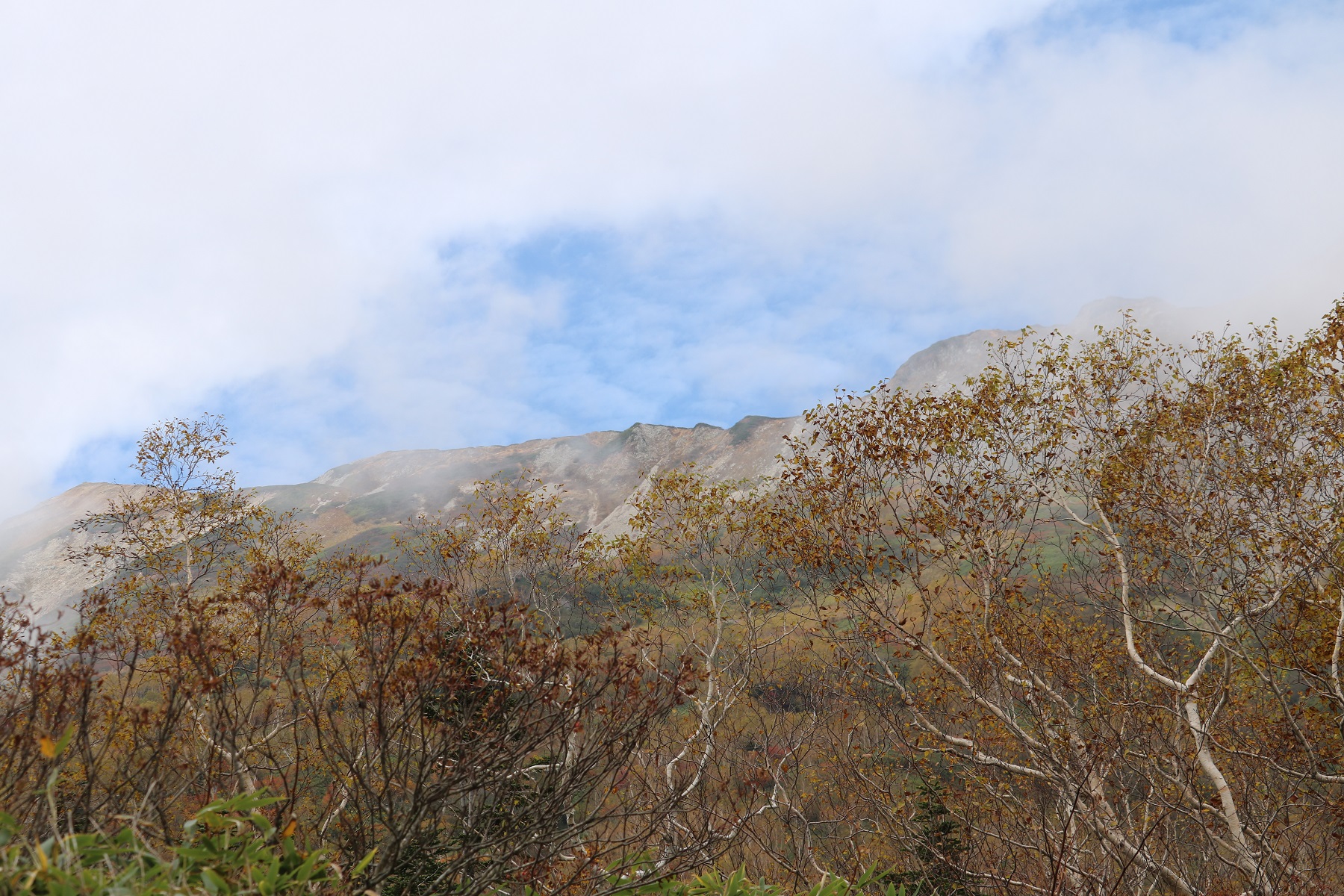 私のGo To トラベル　～ 八方池＆栂池 ～