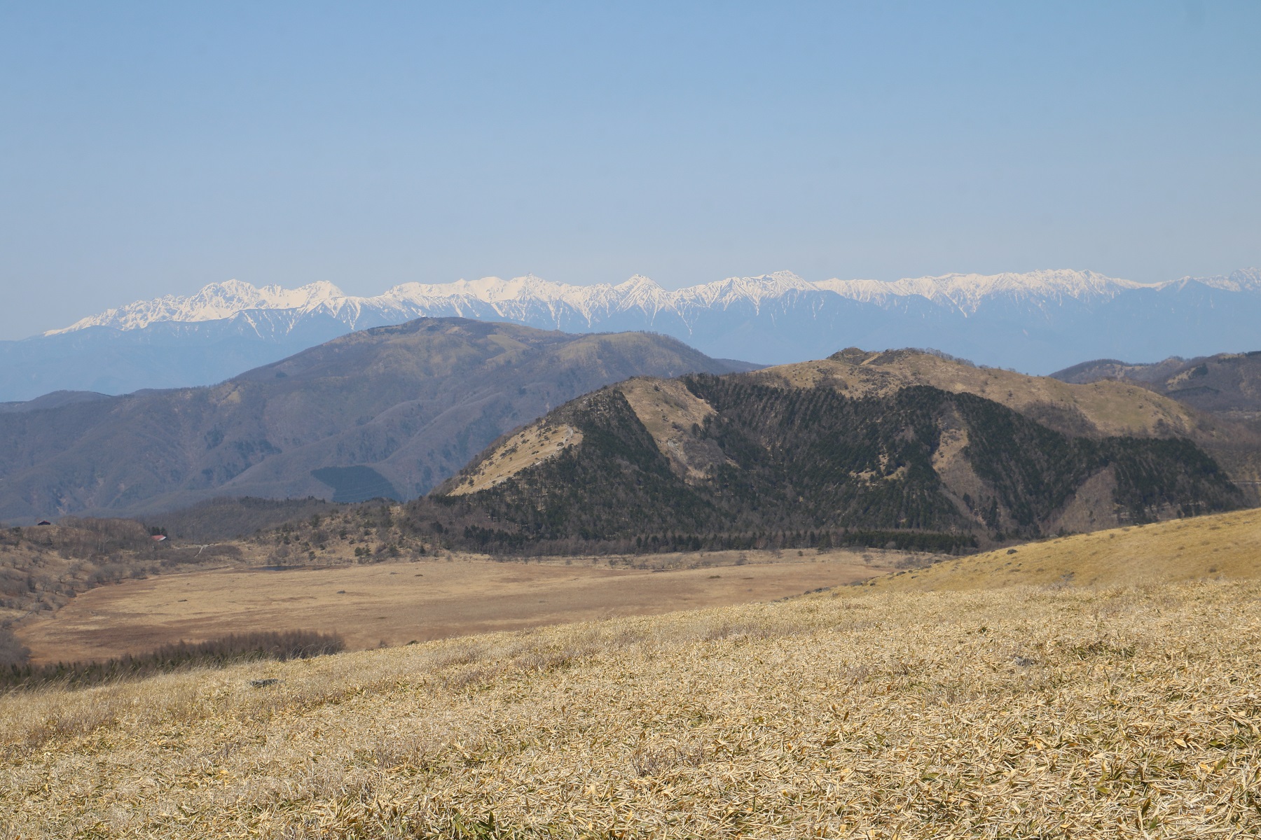 春の山歩き ～ 車山＆蝶々深山 ～