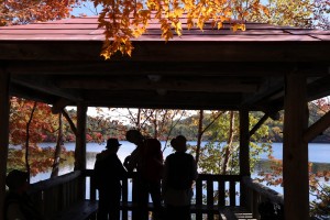 東屋越しに見る紅葉の白駒池   