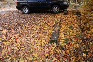落ち葉に覆われるBFC駐車場  