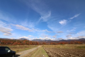 芹ケ沢から見る八ヶ岳                       