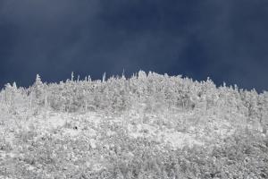 八丁平から見る雨池山稜線の樹氷群