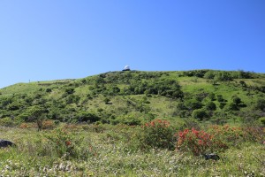 車山湿原の南側の丘