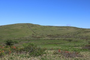 車山湿原の北側の丘