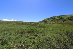 湿原の北側から山頂方向の眺め